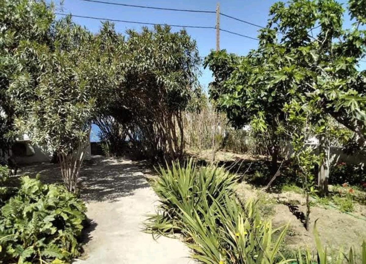 Apartamento Fino
