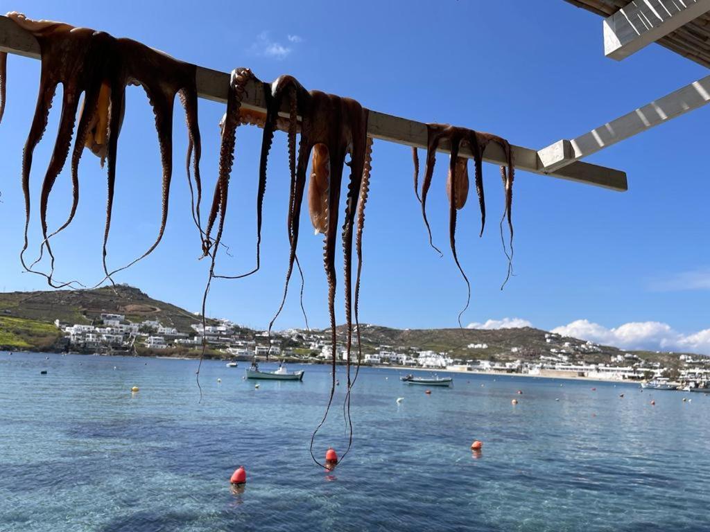 Fino * Megali Ammos (Mykonos)