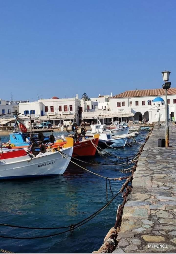Fino Appartement Megali Ammos (Mykonos)