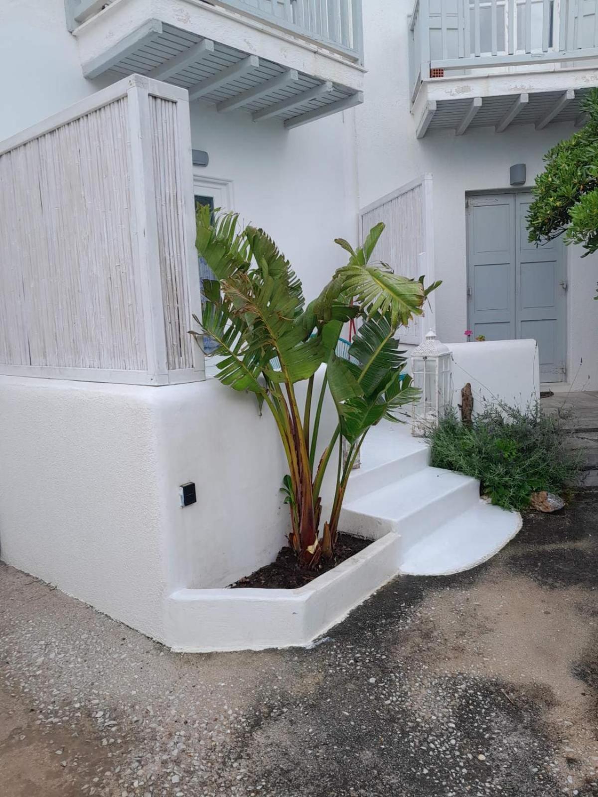 Fino Appartement Megali Ammos (Mykonos)